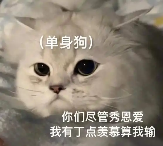 你们尽管秀恩爱我有丁点羡慕算我输