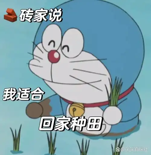哆啦a梦表情包(种田篇)