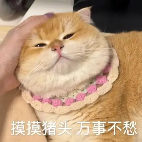 太喜欢这组猫咪表情包了