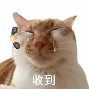 沙雕猫咪表情包-高清图片,堆糖,美图壁纸兴趣社区