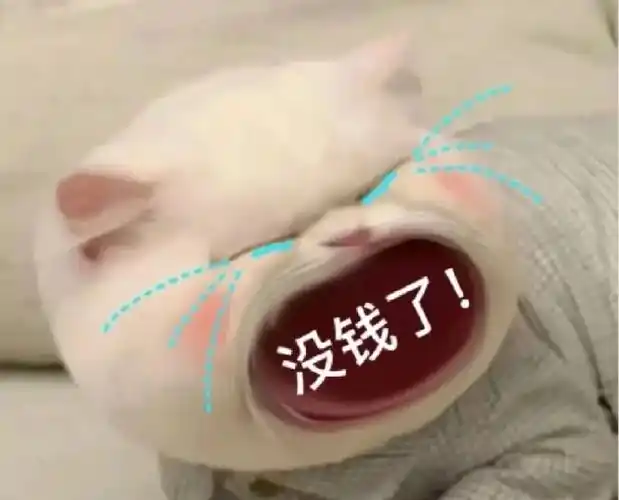 小猫要钱表情包