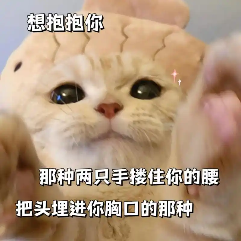 表情包#猫咪表情包#奇奇怪怪可可爱爱#哄老婆#发给对象表情包