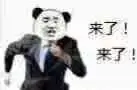 来了!来了!(熊猫头穿西装西服奔跑)_西服_西装_熊猫_奔跑表情