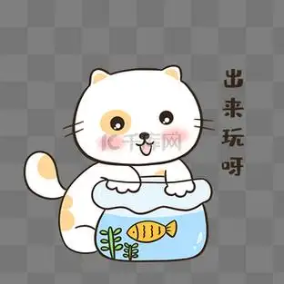 小猫出来玩呀表情包