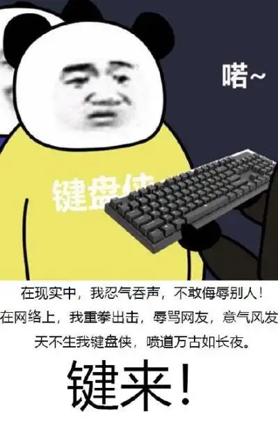 打键盘表情包