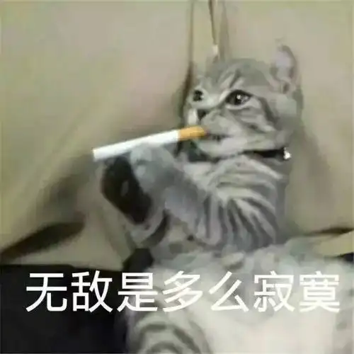 无敌是多么寂寞无敌寂寞多么表情