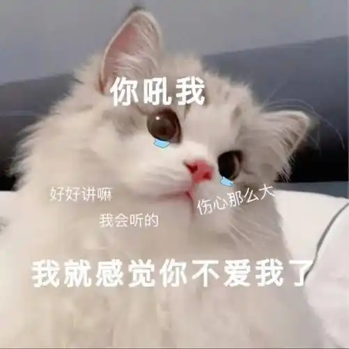 超撩人的猫咪情侣表情包勾引到我了!_公众_il_熊猫头