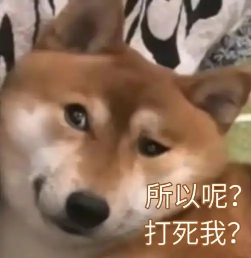 柴犬表情包