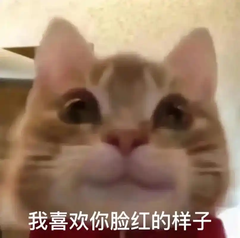 猫咪表情包#发给对象表情包#表情包-抖音