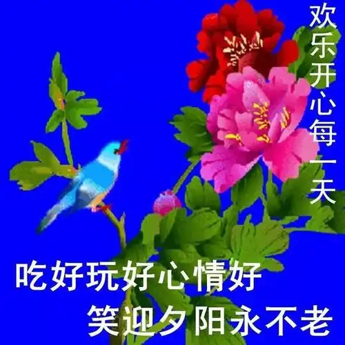 中老年表情包,佛光普照,好人一生平安!