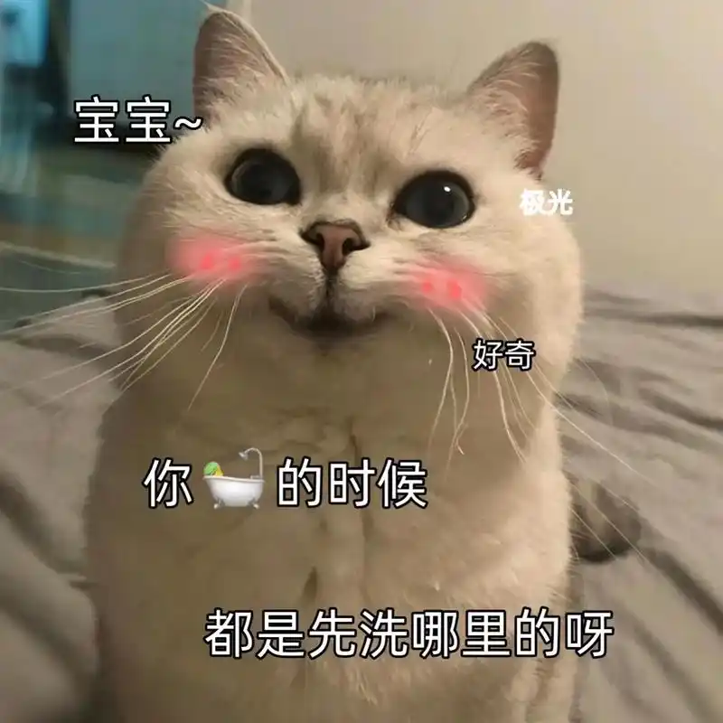 表情包#情侣日常#发给对象表情包#猫咪表情包#情侣-兑趑