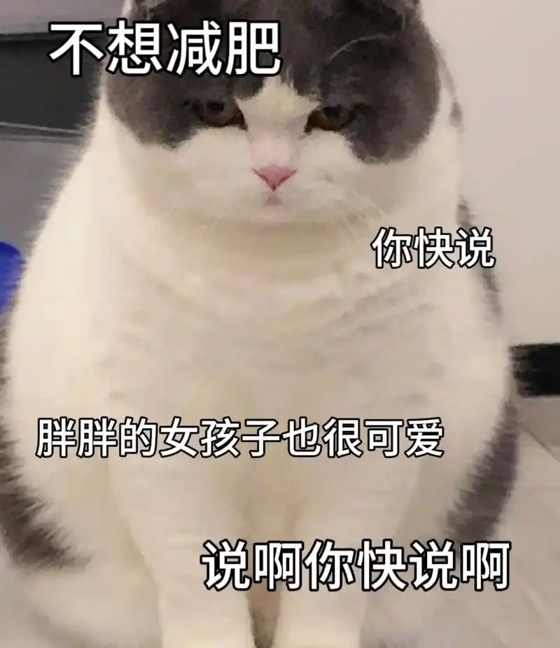 胖胖的女孩子也很可爱快说你快说啊#表情包#猫咪表情包-抖音