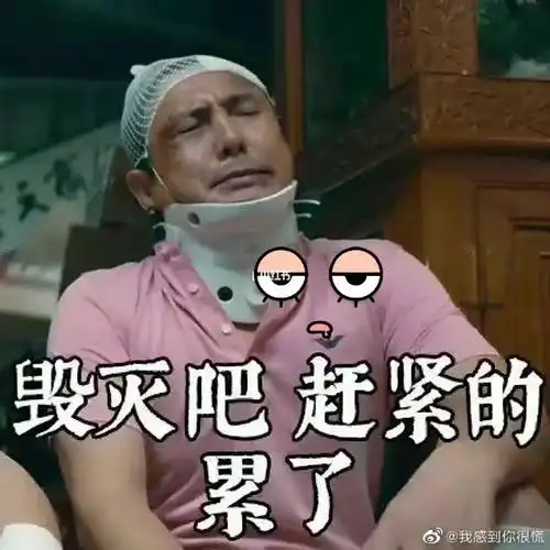 哈哈哈哈去他妈的爱情啊