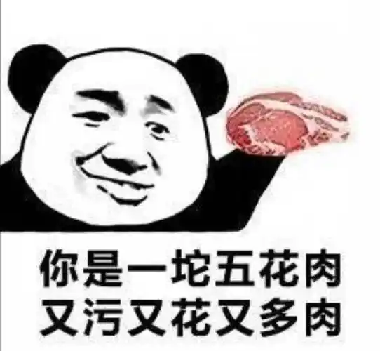 你是一坨五花肉,又污又花又多肉表情包-表情图