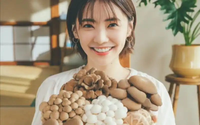 仓科加奈hokto广告合集