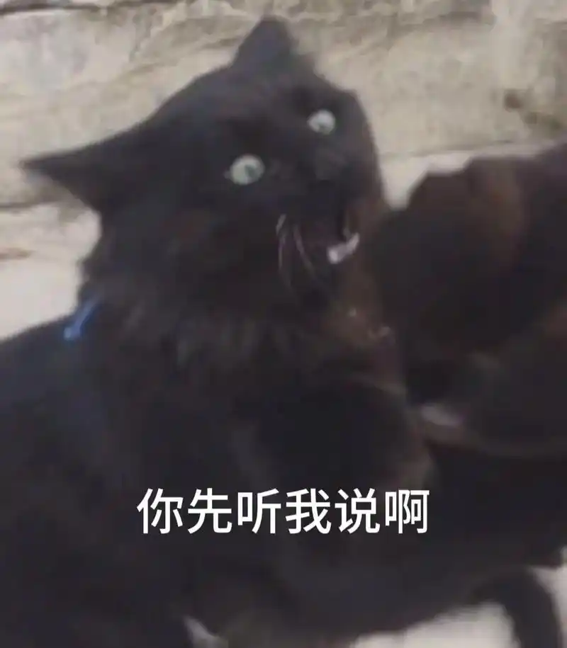 纯享版猫狗大战表情包哈哈哈哈哈哈哈.#萌宠出道计划#-抖音