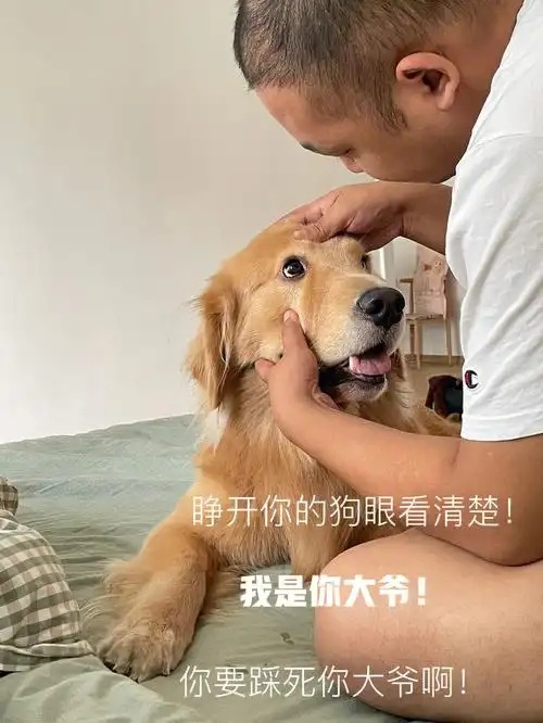 睁开你的狗眼看清楚