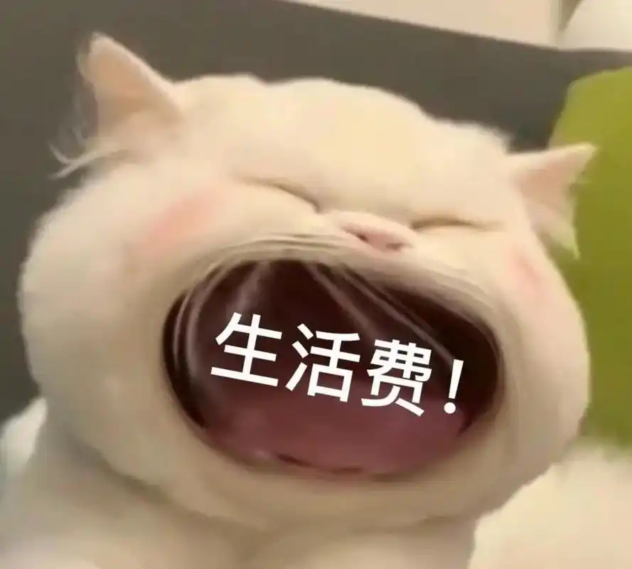 猫咪张大嘴表情包合集