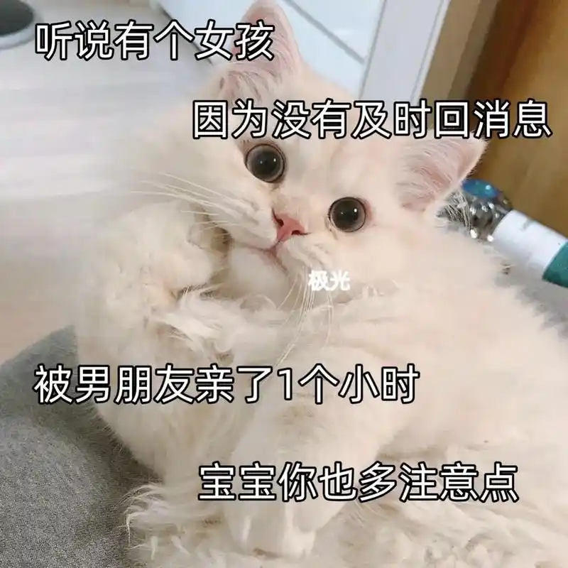 表情包#发给对象表情包#撩妹表情包#情侣日常-抖音