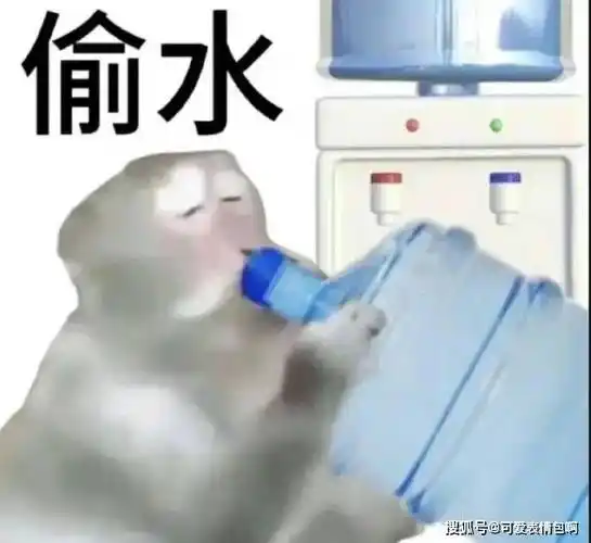 3035383532''符合我精神状态的表情包