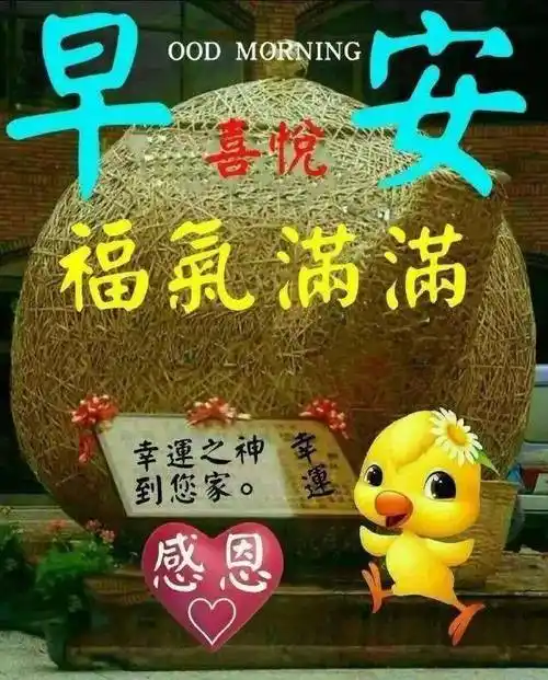 微信新版早上好最新祝福语朋友圈早上好问候语表情图片