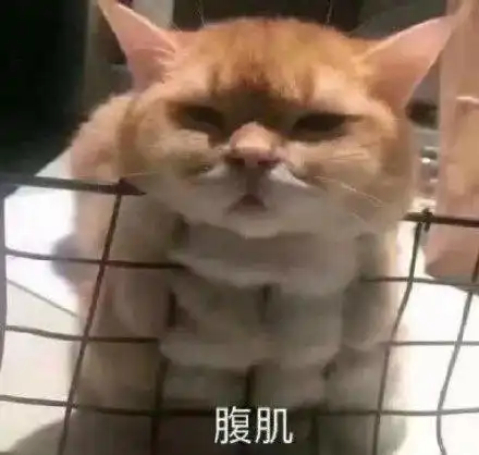 真羡慕你们睡得跟小猪仔一样熊猫头表情包猪仔熊猫睡得羡慕表情