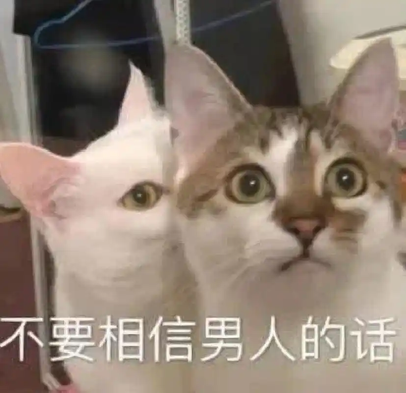 第三期沙雕可爱的猫狗表情包,吐血整理别光保存,也给一颗小红心