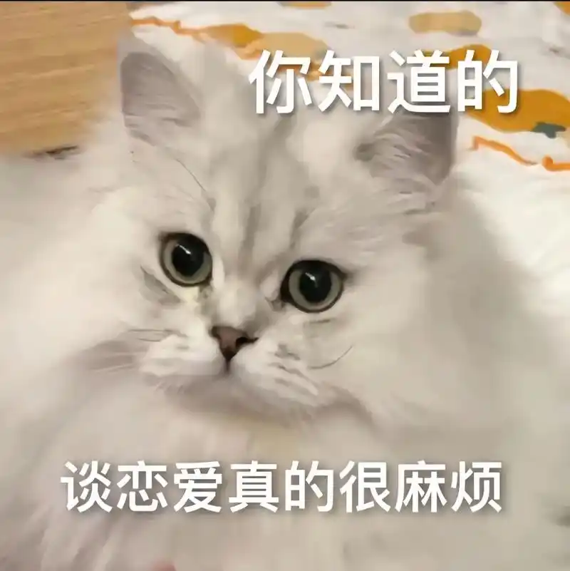 谈恋爱挺麻烦的以后就麻烦你了.#猫咪表情包#发给对象表-抖音