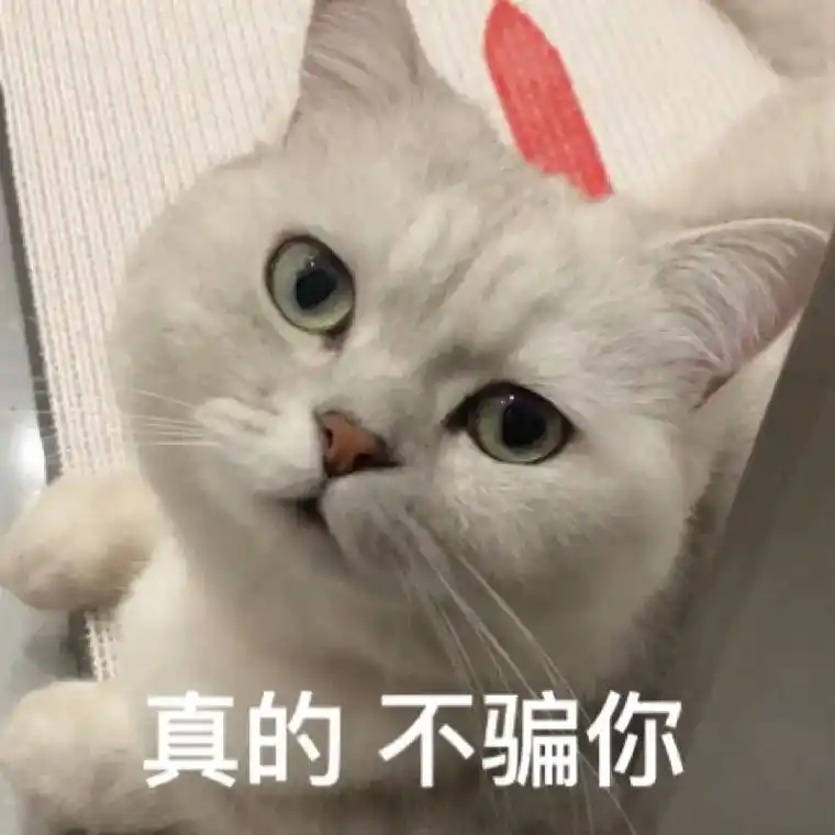 看看是不是你想要的猫猫表情包～#银渐层#猫咪表情包#猫猫-抖音