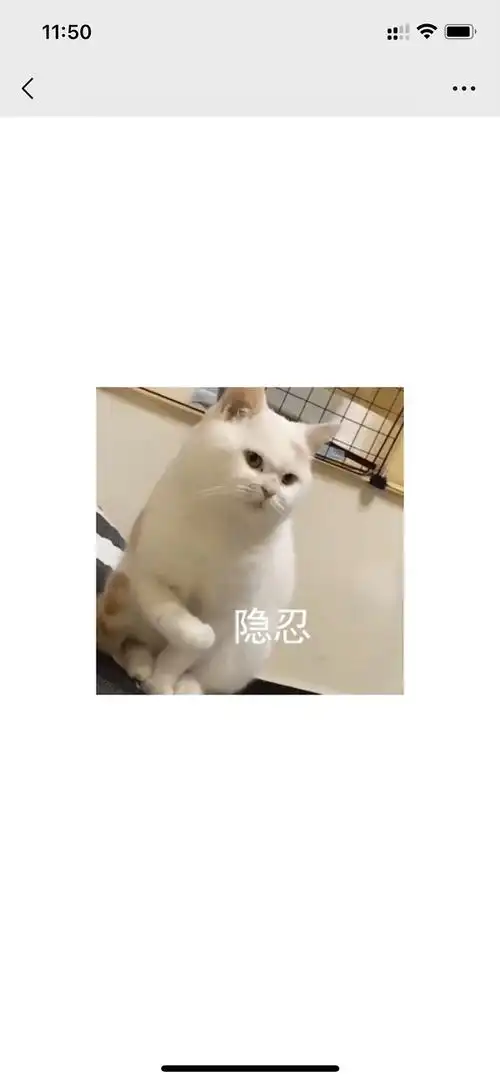 综合区|求一个小猫手抖配字隐忍的表情包