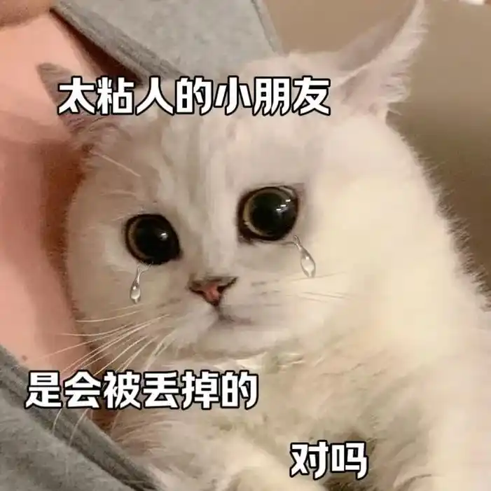 你不要烦我会变乖.#猫咪表情包#发给对象表情包#伤感表-抖音