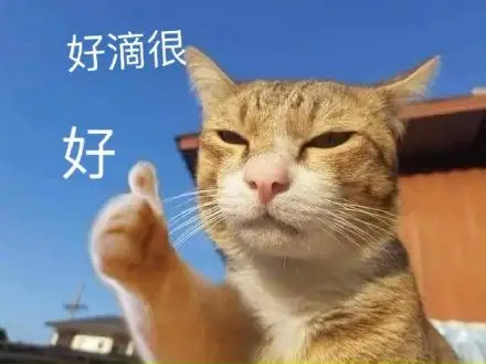 好滴很好(猫咪表情包)_猫咪_好滴表情