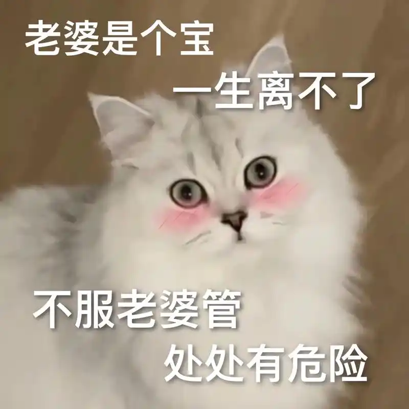 发给对象表情包#猫咪表-抖音