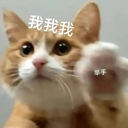 搞笑沙雕表情包:苦笑不得_生活_公众_熊猫头