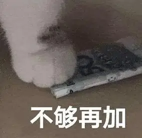 买你一晚表情包猫咪一百块钱不够再加图片大全
