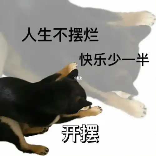 柴犬表情包开摆