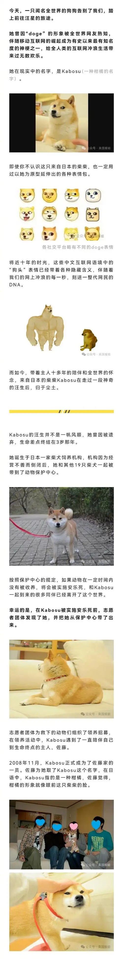 doge表情包原型去世##doge原型去世