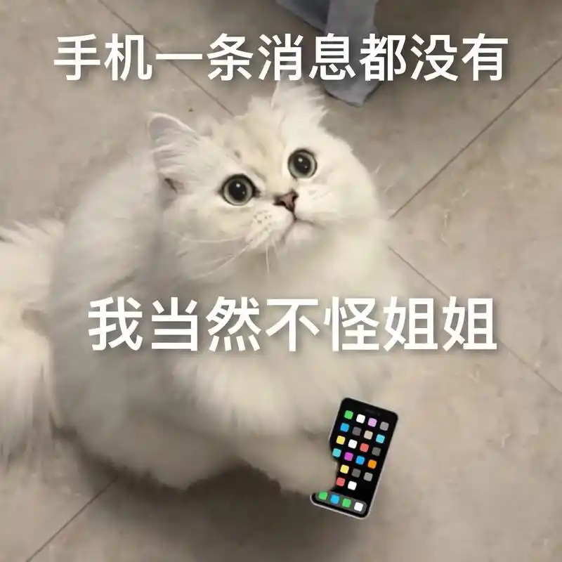 当然不怪姐姐啦～#发给对象表情包#猫咪表情包-抖音