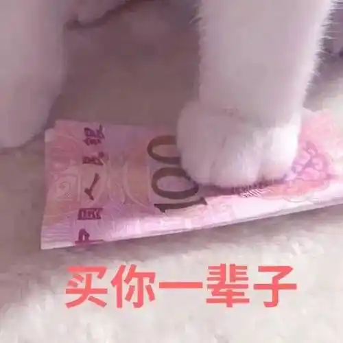 买你一辈子买你一晚表情包