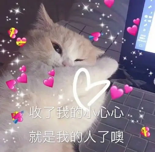 了我的小心心就是我的人了呆萌可爱gif动图_动态图_表情包下载_soogif