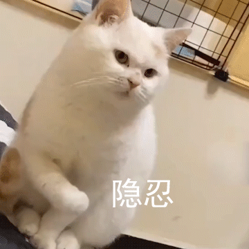 隐忍(猫猫表情包)