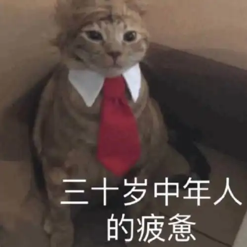 三十岁中年人的疲惫(猫咪表情包)