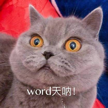 word天呐我的天呐猫咪