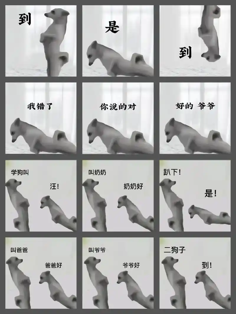 小狗喊到表情包.抖音搜:神图君进入输口令7027点专辑小-抖音