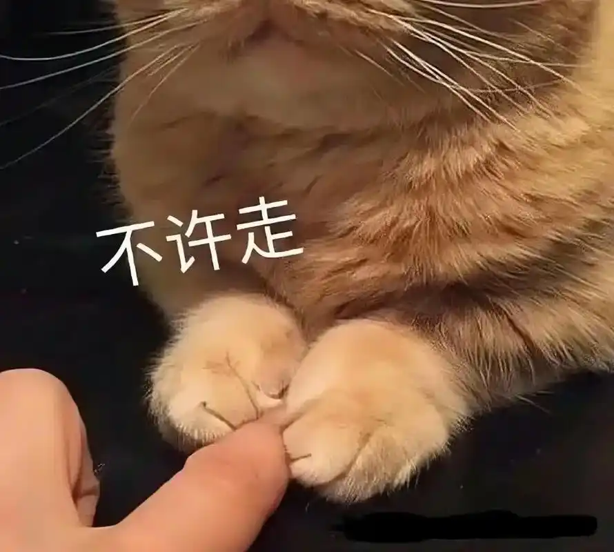 恋爱聊天撒娇卖萌wechat猫咪表情包#猫咪表情包#表情-抖音