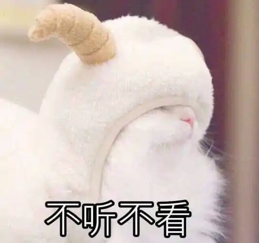 萌宠猫星人不听不看看不见呆萌可爱gif动图_动态图_表情包下载_soogif