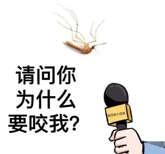 如果把四种血型的人关在一起,蚊子会叮谁?这个实验真有意思