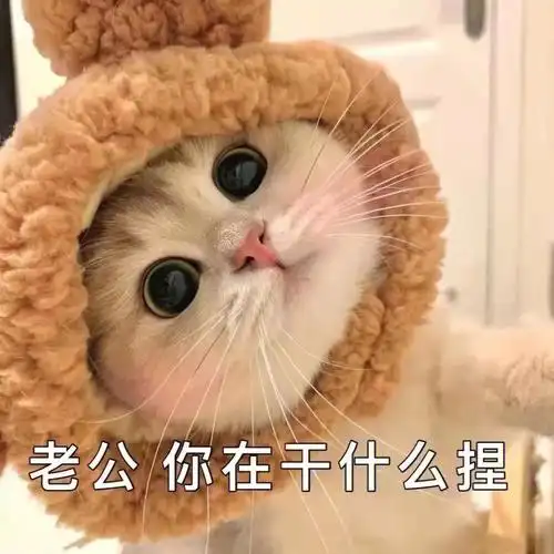 我最爱的表情包#表情包分享#表情包#可爱表情包#撒娇女人最