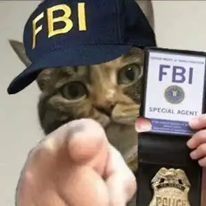 fbi猫猫指人表情包_指人_fbi表情