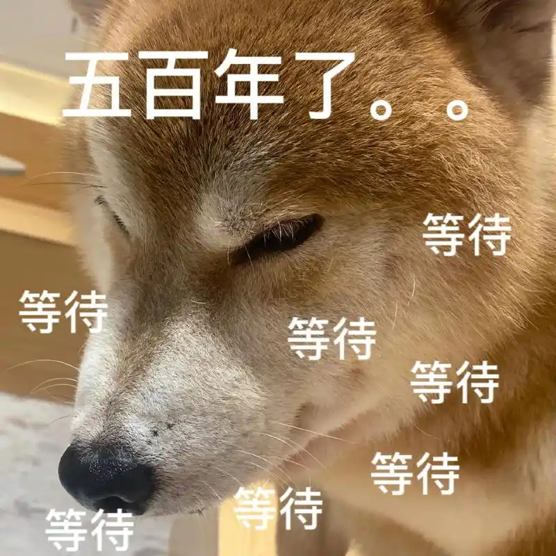 狗狗#表情包-抖音